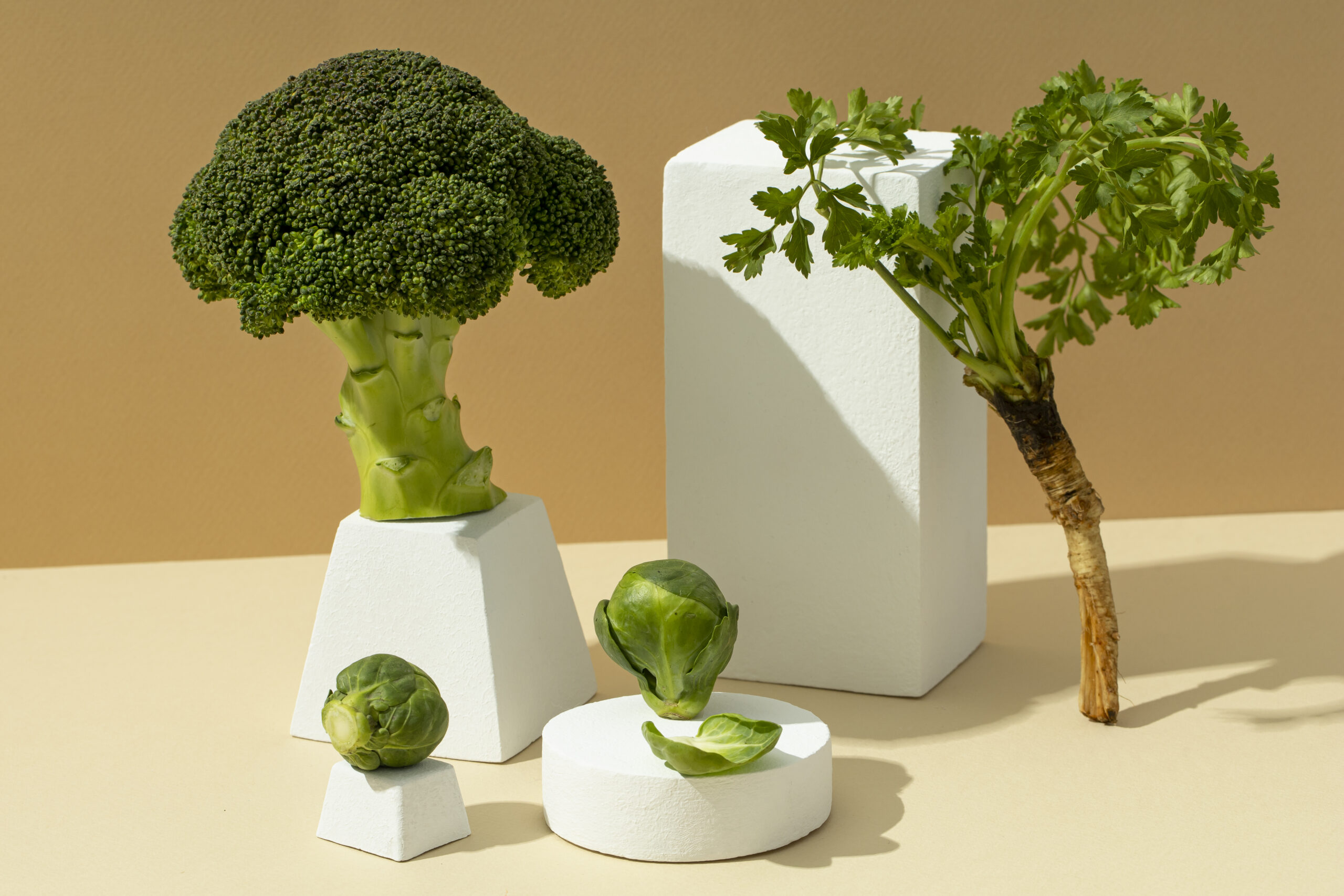 “Plant Sterols and Stanols: The Unsung Heroes in Cholesterol Management”: Highlighting these plant compounds\’ role in heart health.